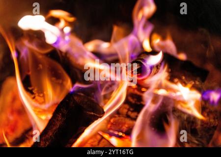 Bright flames flicker and sway above darkened logs, casting light in the surrounding forest during a cool evening. The comforting glow invites warmth Stock Photo