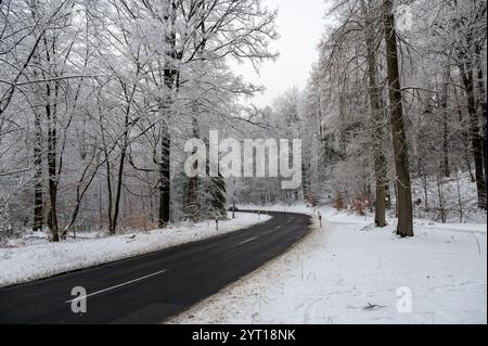 A  road in snow-covered forest, with a moving car on the street Stock Photo