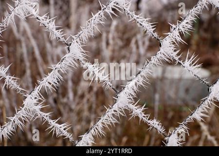 Metal grid covered with frost. Long needles of frost. Stock Photo