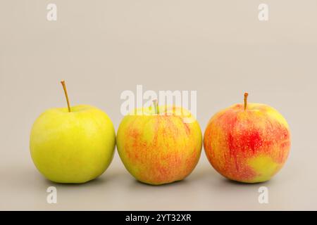 Three apples on a gray background Stock Photo