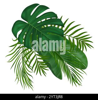 Realistic tropics green palm leaves. Summer tropical design elements for greenery botanical invitation, natural card design. Vector Illustration Stock Vector