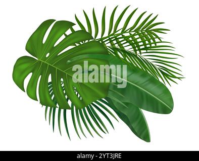Tropical jungle palm leaves. Summer botanical design elements with greenery tropic exotic leaves for card, invitation, banner, poster, social media Stock Vector