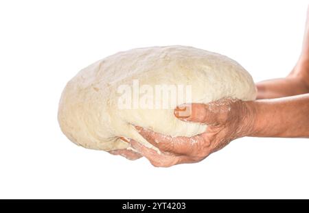 Hands holding a dough. It is ready for baking. Homemade pastries in the kitchen. Healthy eating lifestyle. Fresh raw dough in bakers hands isolated on Stock Photo