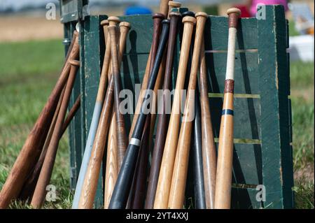 Wooden baseball bats leaning against a green crate on a sunny fi Stock Photo