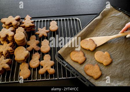 Baking Gingerbread Christmas Cookies in different shapes Stock Photo