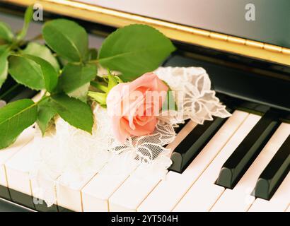 Piano and roses Stock Photo