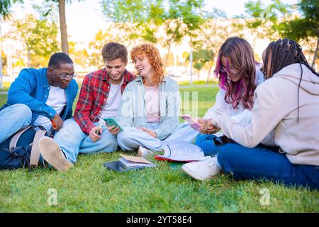 Diverse Group of Students Studying Together on Grass Outdoors Stock Photo