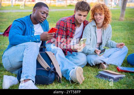 Diverse Group of Students Studying Together on Grass Outdoors Stock Photo