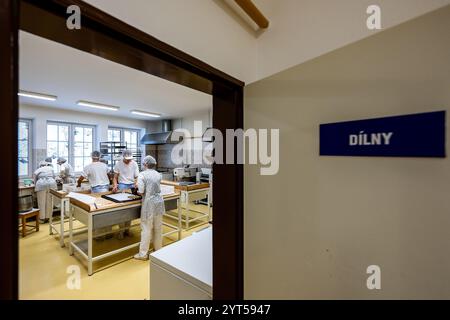 Nova Paka, Czech Republic. 06th Dec, 2024. Students of the Secondary School of Gastronomy and Services make Christmas pastry, in Nova Paka, Czech Republic, December 6, 2024. Credit: David Tanecek/CTK Photo/Alamy Live News Stock Photo