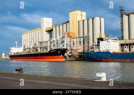 Rouen - Grand-Couronne (northern France), Sénalia silo: the river port across the River Seine, Seine Axis Major River-Sea Port, HAROPA Port. Docking o Stock Photo