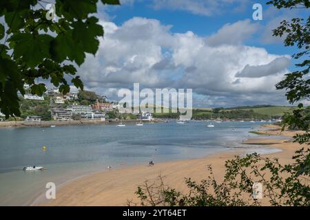 Salcombe and Snapes Point taken from the National Trust footpath above Mill Bay, East Portlemouth, at low tide on blue sky autumn day. Stock Photo