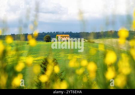 Tuscan farmhouse in Val d'Orcia, Tuscany, Italy Stock Photo