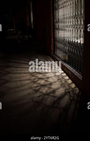 Shadows cast on the ground from a gate illuminated by soft lighting at night Stock Photo