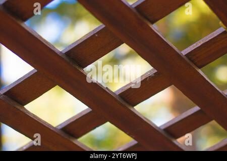 Close-Up of Wooden Lattice with Blurred Natural Background for Abstract Concept Stock Photo