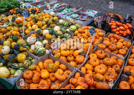 Mini pumpkins and squashes for sale at York Market, UK Stock Photo