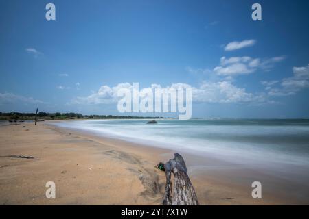 The oldest nature reserve in an amazing landscape. The sea and the sandy beach as a natural border and pure nature in Yala National Park, Uva, Sri Lanka, India, Asia Stock Photo