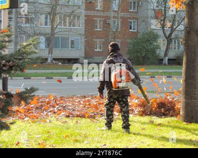 a utility worker from behind in an orange uniform with a vacuum device blows bright fallen autumn leaves from a lawn in a park or on an alley against Stock Photo