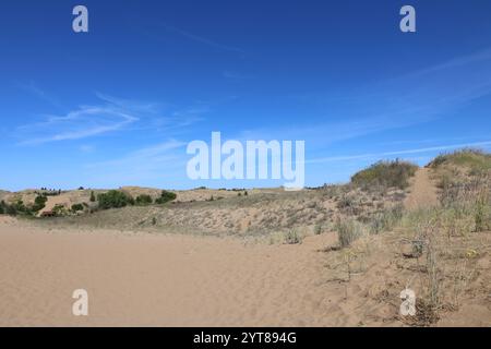 landscape rugged desert dunes under deep blue skies Stock Photo