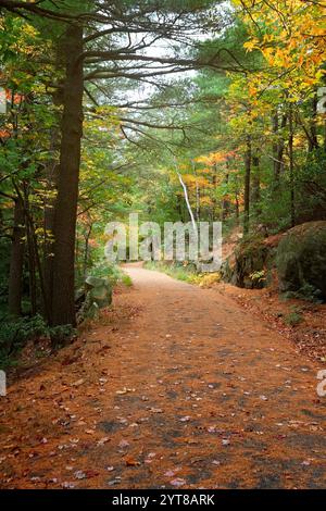 Hiking trail in the season of Autumn, colorful trees, in upstate New York. Stock Photo