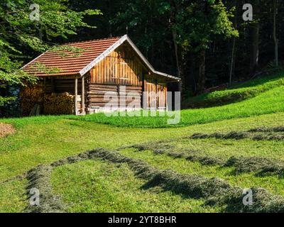 Late summer near Wamberg, district of Garmisch-Partenkirchen Stock Photo