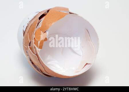 Eggshells on a white background Stock Photo