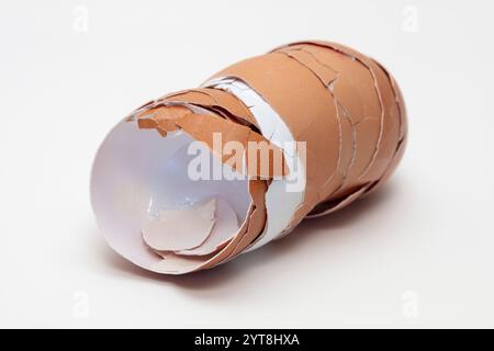 Eggshells on a white background Stock Photo