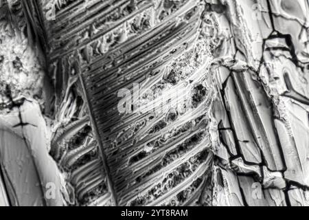 Microscopic shot showing Ammonium sulfate crystals structure Stock Photo