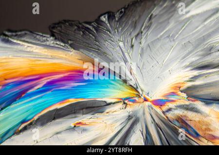 Colorful microscopic shot of sugar micro crystals in polarized light Stock Photo