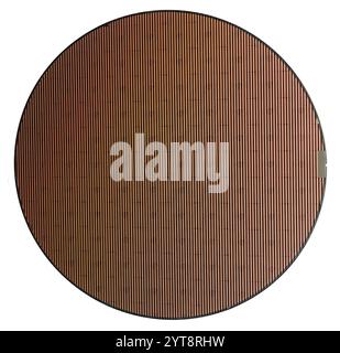 Frontal shot of a wafer in white back Stock Photo