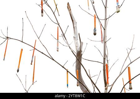 Small tree with lots of old brushes hanging on in white back Stock Photo