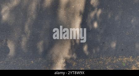 view from above on texture of asphalt road Stock Photo