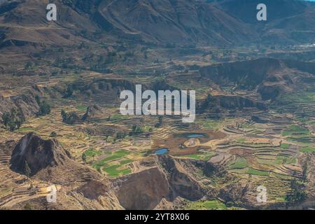 Colca canyon in Peru. Rock formations and green terraces in the Andes ...