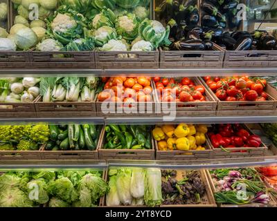 Vegetables of various kinds displayed in boxes on shelves in the greengrocer's shop, tomatoes and zucchini and colorful peppers and cabbage with eggpl Stock Photo