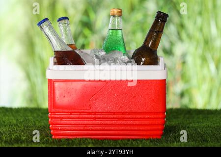 Many bottles of drinks in cooler box on artificial grass Stock Photo