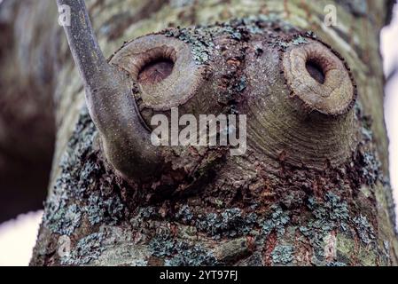 Interesting structures Stock Photo