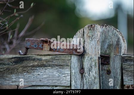 Old rusty gate latch on a wooden gate Stock Photo