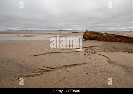 Structures in the Wadden Sea Stock Photo