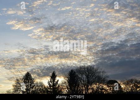 Altocumulus floccus Clouds at dusk over the riparian forest on the Isar, Moosburg, Upper Bavaria Stock Photo
