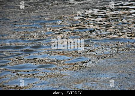 Abstract nature - reflections and swirls on the water surface of a canal Stock Photo