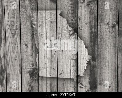 Map of Georgia on weathered wood Stock Photo - Alamy