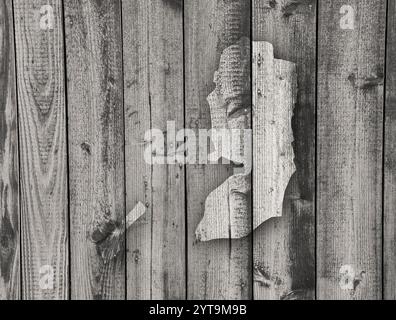 Map of Palestine on weathered wood Stock Photo - Alamy