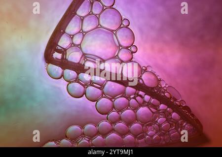 Pink and green pastels with an abstract cellular structure Stock Photo
