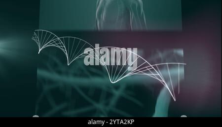 DNA strand image over scientific research visuals Stock Photo