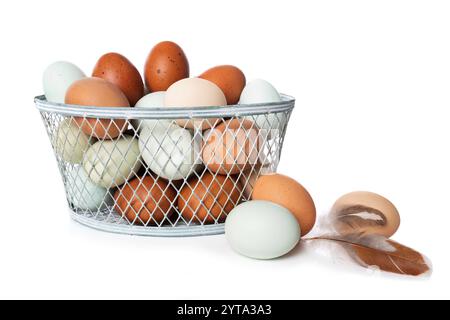 Many chicken eggs in a basket Stock Photo