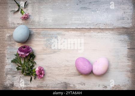 Happy easter greetings with violet easter eggs and purple ranunculus on vintage wood. Background for greeting cards and banner. Top view with space for text. Stock Photo