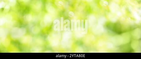 Blurred bright green bokeh background. Abstract fresh spring background with space for text. Stock Photo