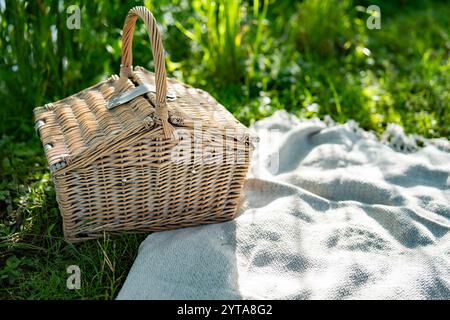 Closed wicker basket on wool blanket. Background for summer picnic in the green grass. Stock Photo