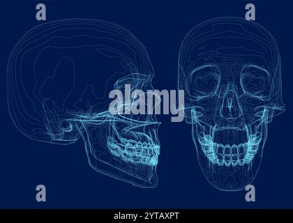 Blue skull with line on abstract background. Wireframe space low poly guard with lines. Connection structure. Vector background. Front, side view. 3D Stock Vector