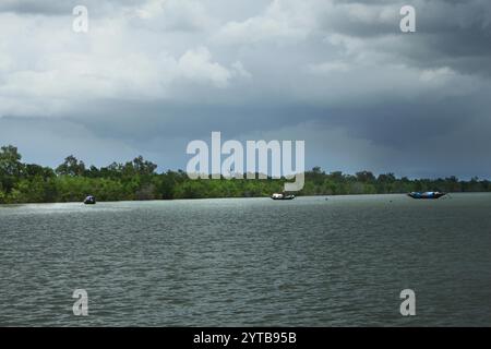 Breathing roots of Keora trees at the World largest mangrove forest Sundarbans, famous for the Royal Bengal Tiger and UNESCO World Heritage site in Ba Stock Photo