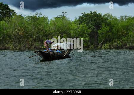 Breathing roots of Keora trees at the World largest mangrove forest Sundarbans, famous for the Royal Bengal Tiger and UNESCO World Heritage site in Ba Stock Photo